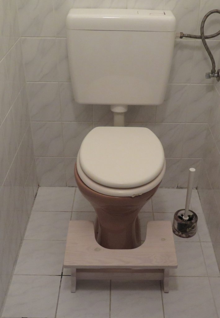 Štokrle u nás doma